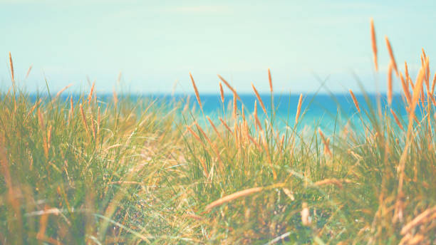 At the Baltic Sea on sunny day