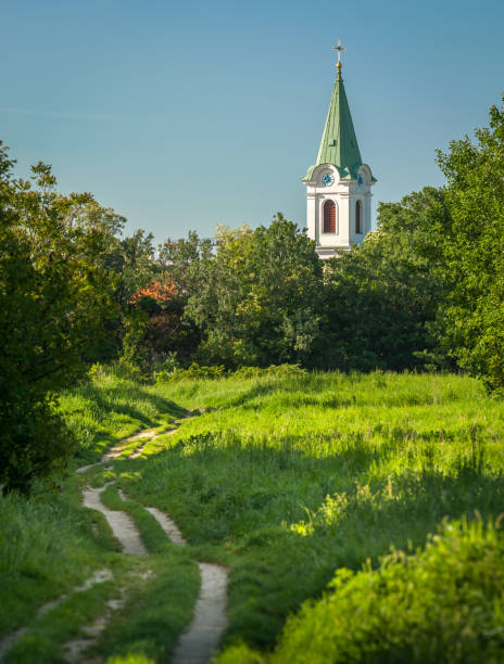 istock Path through grass and trees to church of Jedlesee 877745598