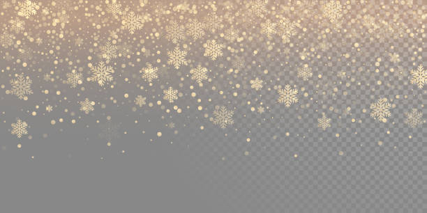 stockillustraties, clipart, cartoons en iconen met vallende sneeuw vlok gouden patroon achtergrond. gouden sneeuwval overlay textuur geïsoleerd op transparante witte achtergrond. winter xmas sneeuwvlok elementsfor kerstmis of new year vakantie ontwerpsjabloon - gold elements