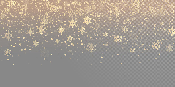 Falling snow flake golden pattern background. Gold snowfall overlay texture isolated on transparent white background. Winter Xmas snowflake elementsfor Christmas of New Year holiday design template