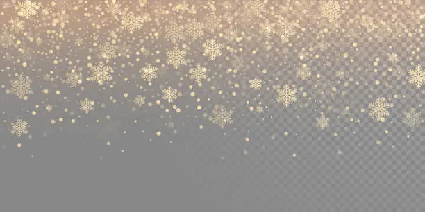 Vector illustration of Falling snow flake golden pattern background. Gold snowfall overlay texture isolated on transparent white background. Winter Xmas snowflake elementsfor Christmas of New Year holiday design template