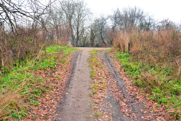 istock Road in park at autumn. 877785840