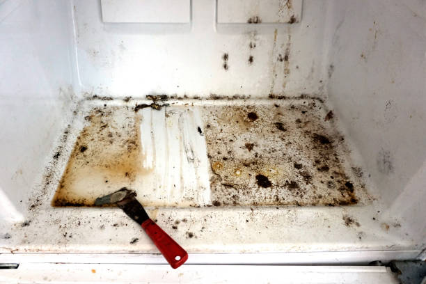 Moldy refrigerator stock photo