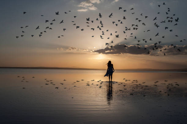 Walking into sunset Young woman walking at sunset over Salt Lake,Turkey. walking beach women sadness stock pictures, royalty-free photos & images