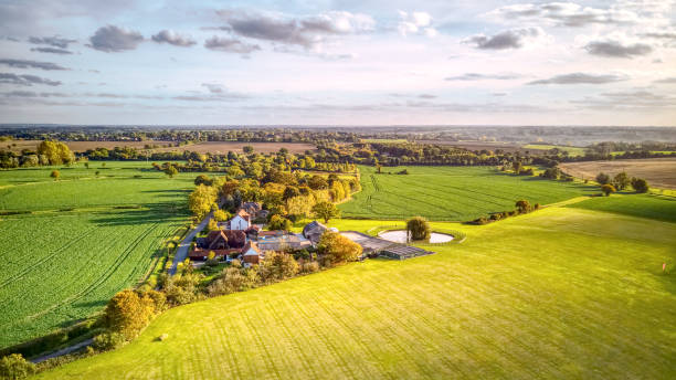 vista a occhio degli uccelli aerei del paese dell'essex - england field autumn season foto e immagini stock