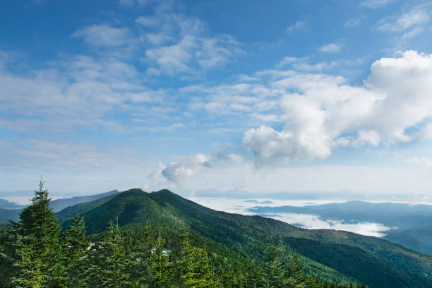 wunderschöne berglandschaft. - mount mitchell stock-fotos und bilder