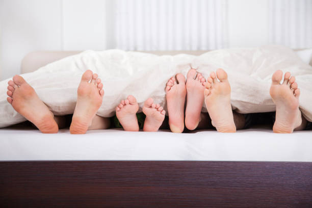 Family feet from under blanket Dad, mom, boy and girl lying in bed under blanket showing only their feet. Morning scene of family in bed. bed human foot couple two parent family stock pictures, royalty-free photos & images