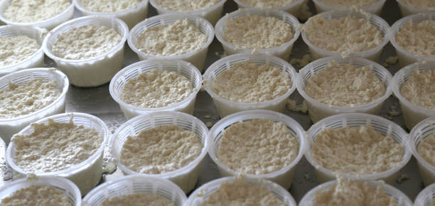 istock forms of fresh cheese in the dairy in mountain 877838148