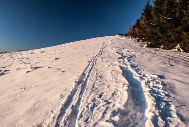 istock winter hill with trees, snow and clear sky above 877843778