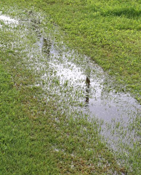 istock puddle in the green meadow because the soil is too saturated wit 877847078