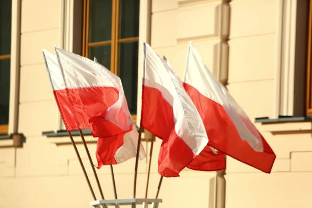istock National flag of Poland. 877849718