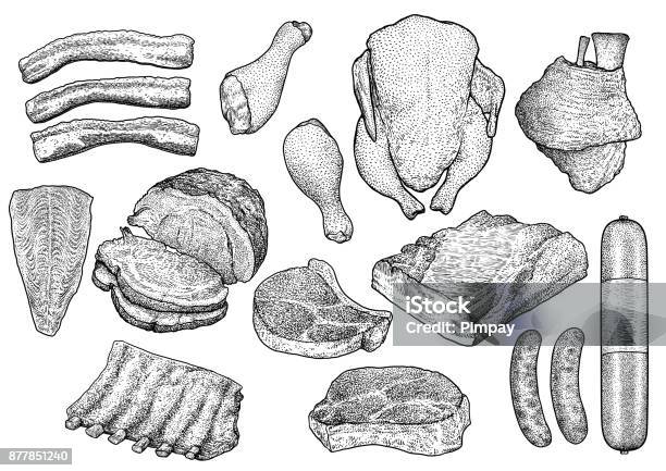 Illustrazione Della Collezione Di Carne Disegno Incisione Inchiostro Line Art Vettore - Immagini vettoriali stock e altre immagini di Incisione - Oggetto creato dall'uomo