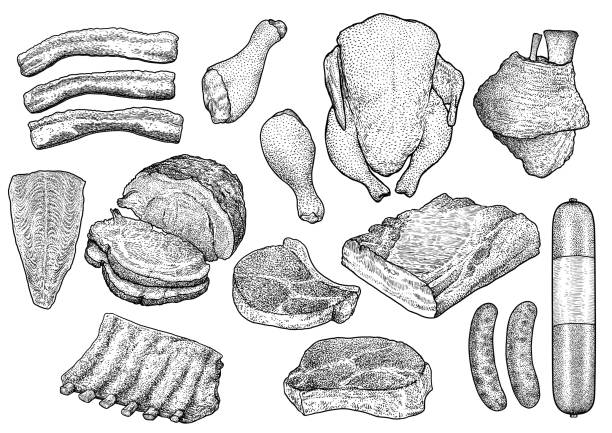 Meat collection illustration, drawing, engraving, ink, line art, vector Illustration, what made by ink, then it was digitalized. beef illustrations stock illustrations