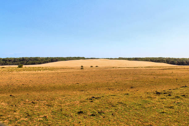 Beach of Pedra do Sal, Parnaíba’s Delta, Parnaíba, Piauí, Northeast of Brazil - August 25, 2016.