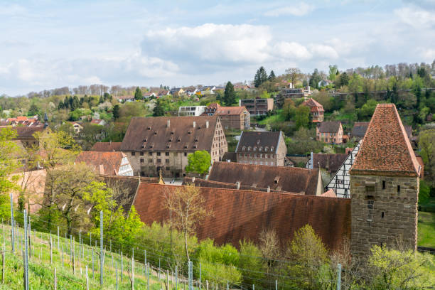 istock Monastery Maulbronn from outside at partly cloudy day 877873612