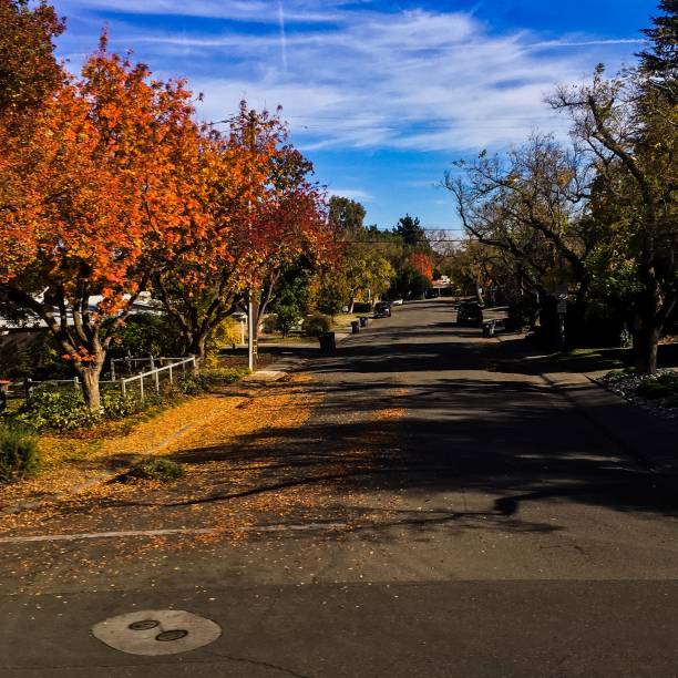 istock Northern California autumn 877882550