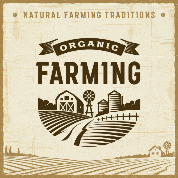Vintage Organic Farming Label Vintage organic farming label in retro woodcut style. Editable EPS10 vector illustration with clipping mask and transparency. a farm stock illustrations