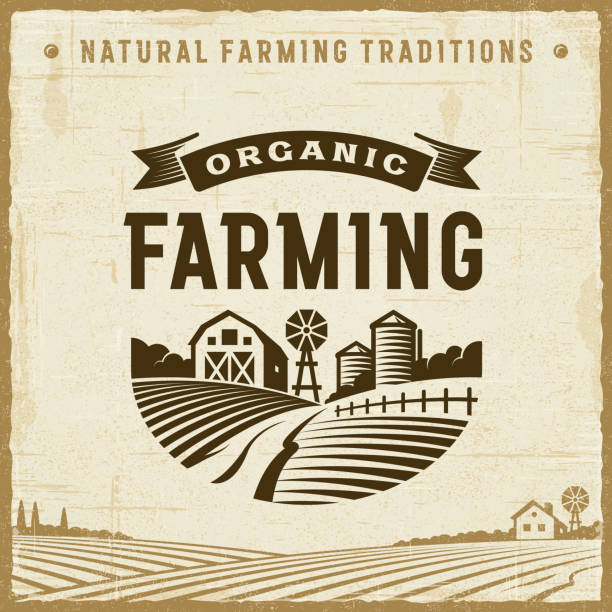 Vintage Organic Farming Label Vintage organic farming label in retro woodcut style. Editable EPS10 vector illustration with clipping mask and transparency. background place stock illustrations
