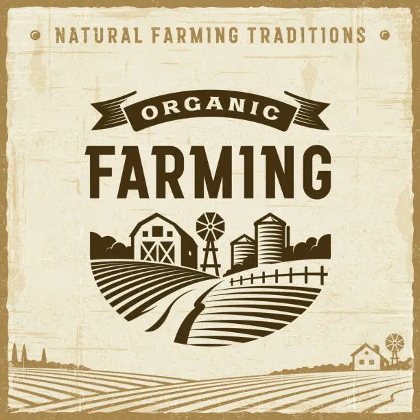 Vector illustration of Vintage Organic Farming Label