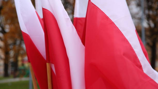 istock National flag of Poland. 877890206