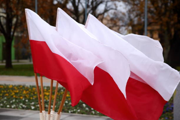 istock National flag of Poland. 877890860