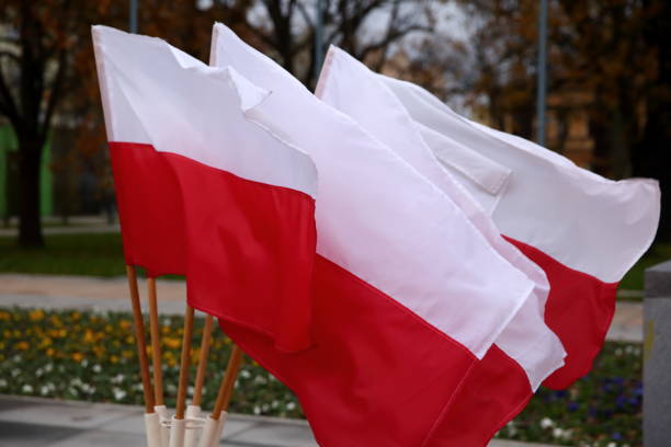 istock National flag of Poland. 877890954