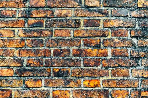 istock Photo of the ancient brick wall texture 877899488