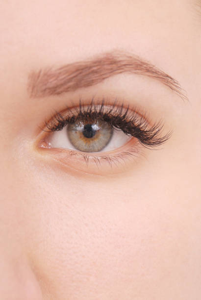 istock Beautiful woman eye with long eyelashes.  Studio shot 877930560