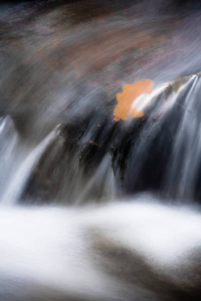 istock beautiful macro close up on river brook stones with orange maple oak tree leaf flooded in satin soft waterfall flowing, creative background 877948740