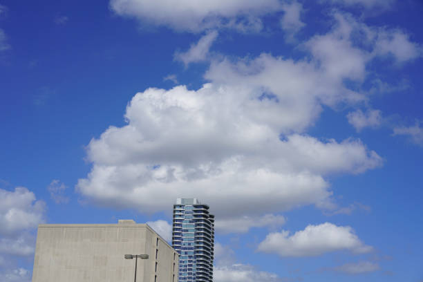 The Skies Above