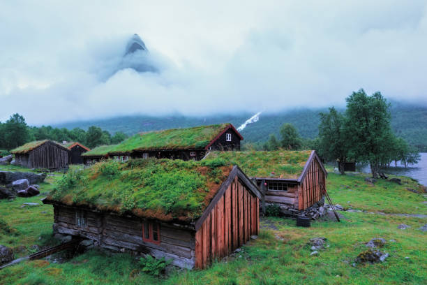 istock Norwegian grass roof old house 877985372