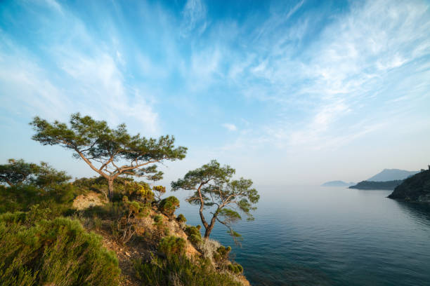 the vicinity of the resort city of Gelendzhik. Black sea coast