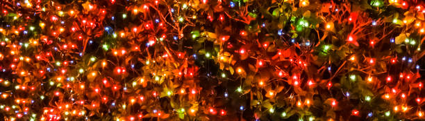Christmas Lights -- Horizontal stock photo