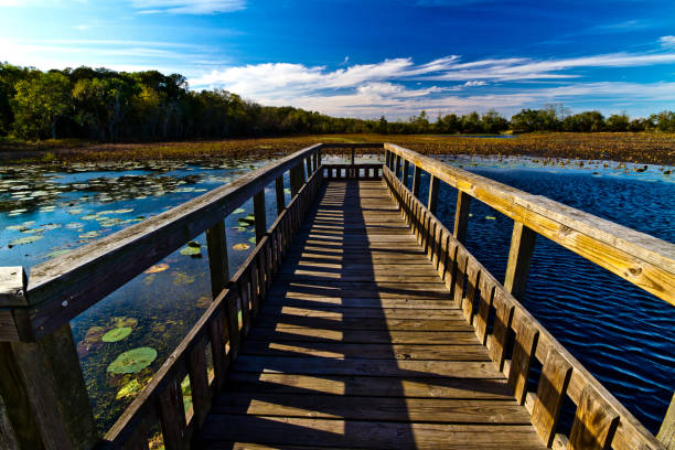 istock Fishing Dock on a Lake. 878011574