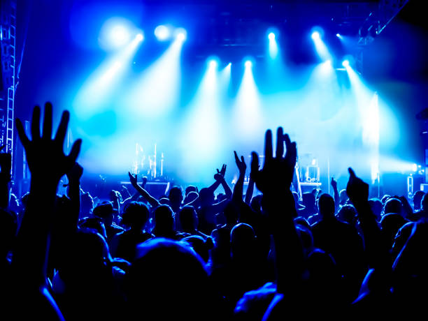 istock Crowd At Music Concert 878013602