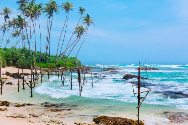istock Coconut trees and turquoise Indian Ocean 878015890