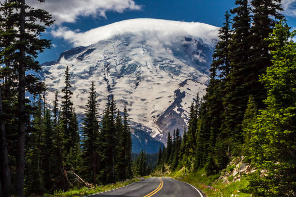 istock Mount Rainier with Forest Road and Lenticular Cloud. 878019184