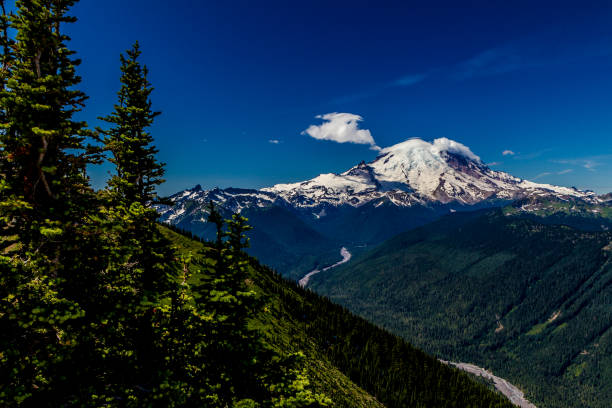 vista do monte rainier do topo da montanha de cristal. - crystal - fotografias e filmes do acervo