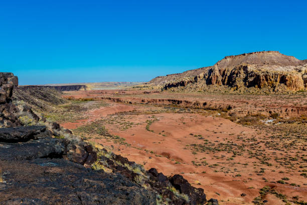 istock Canyon with Lava Rock in New Mexico 878022036