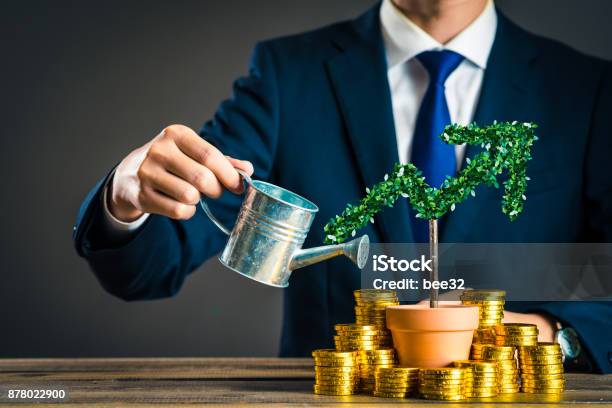 Businessmen With Plants Stock Photo - Download Image Now - Investment, Savings, Wealth