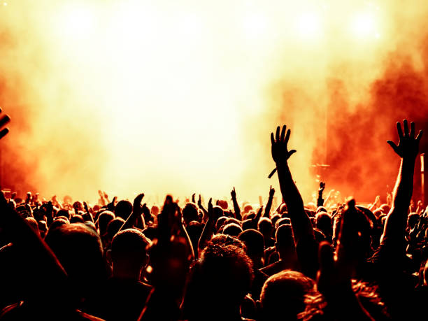 istock Crowd At Music Concert 878028408