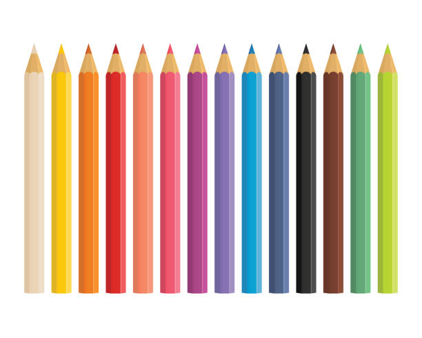 illustrations, cliparts, dessins animés et icônes de crayons de couleur en bois réalistes - colour pencil