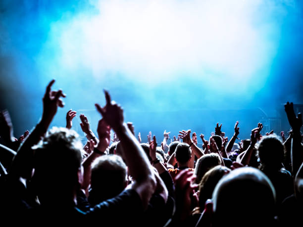 istock Crowd At Music Concert 878031550