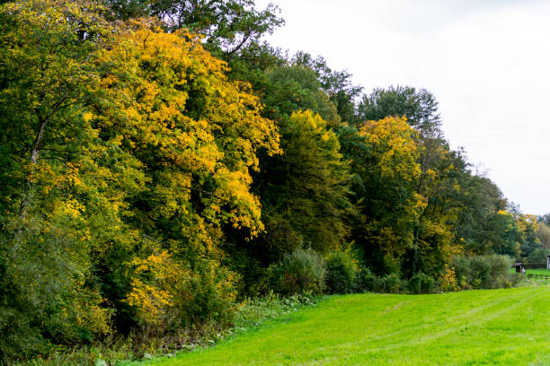 istock Schoenbuch natural reserve in Germany 878037490