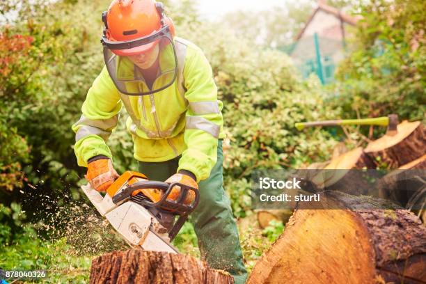 Female Tree Surgeon Stock Photo - Download Image Now - Chainsaw, Tree, Tree Surgeon