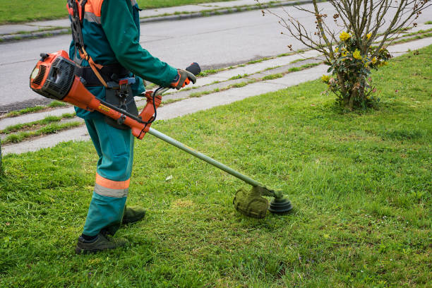 istock Man in overall and safety helmet trims overgrown grass by grass cutter 878043296