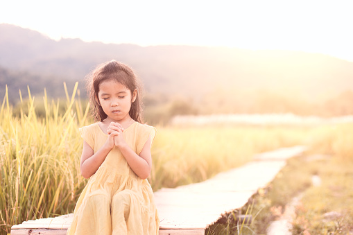 Cute asian little child girl praying with folded her hand and sitting on bamboo walkway in the paddy field in vintage color tone