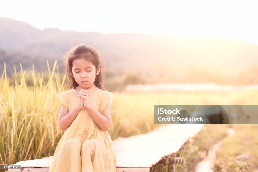Cute asian little child girl praying with folded her hand and sitting on bamboo walkway Cute asian little child girl praying with folded her hand and sitting on bamboo walkway in the paddy field in vintage color tone Praying Stock Photo