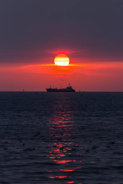 istock Sunset over ocean liner at skyline 878045886