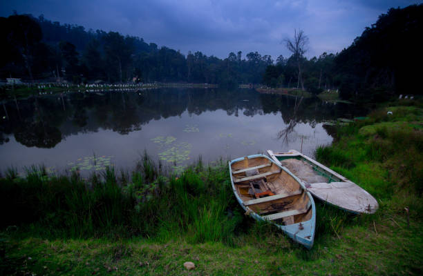 Boats on the lake